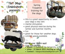 Load image into Gallery viewer, TT Training Classes Registration