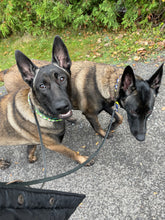 Load image into Gallery viewer, Add on Training