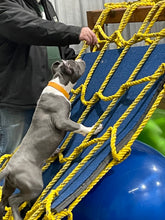 Load image into Gallery viewer, Add on Training