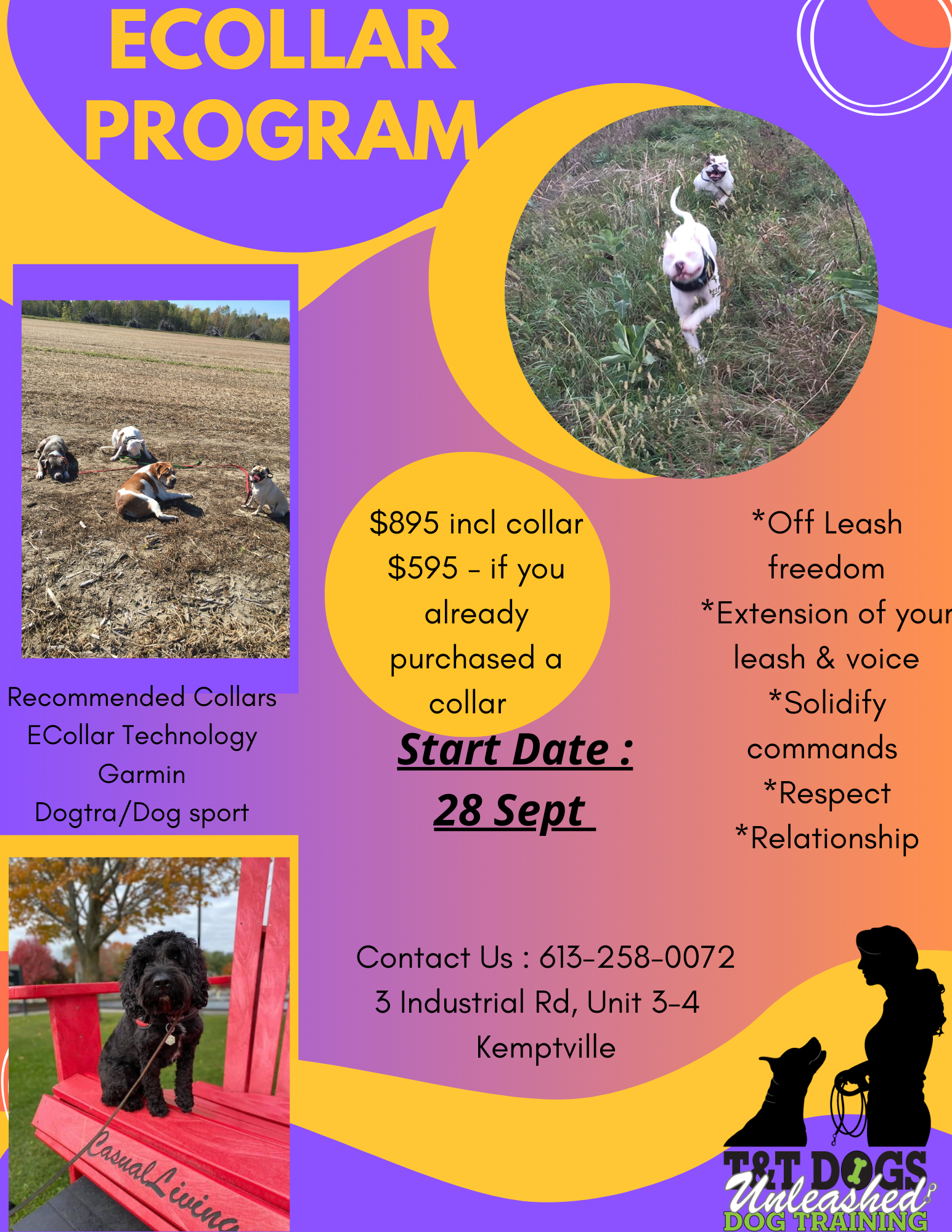 Tt Dogs TT Training Classes Registration – TT Dogs Unleashed